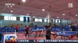 B-sports 家庭游必备！室外游乐场设有儿童滑梯踏脚项目